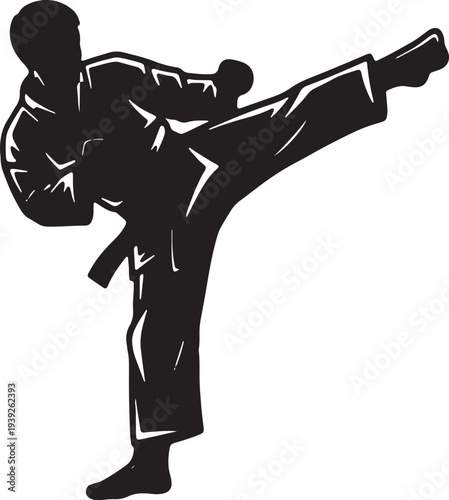 Karate Kick Martial Arts Fighter Silhouette Illustration