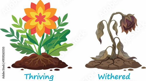 An engaging illustration contrasting a thriving flower with healthy roots and a withered plant, highlighting the importance of care and nourishment for plant growth.