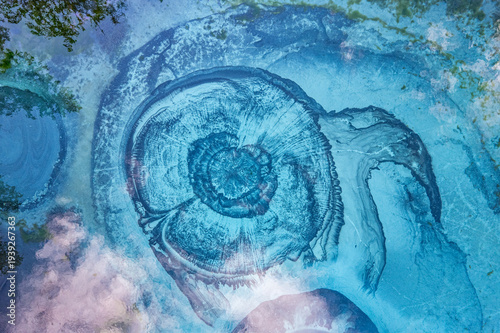 Aerial top view to blue geyser lake in forest from drone, Bird's - eye landscape Altai Mountains. Thermal springs that periodically throw turquoise clay and silt from ground. Aktash, Siberia, Russia