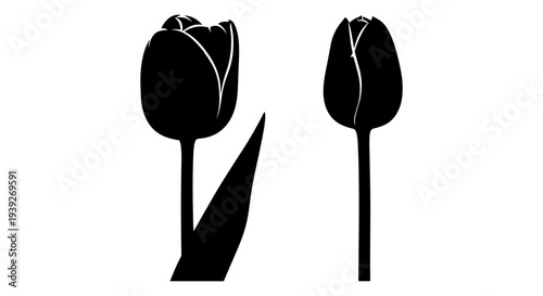 Black Tulip Flower Silhouette Vector Set