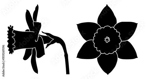Set of 2 Black Daffodil Flower Silhouettes Vector