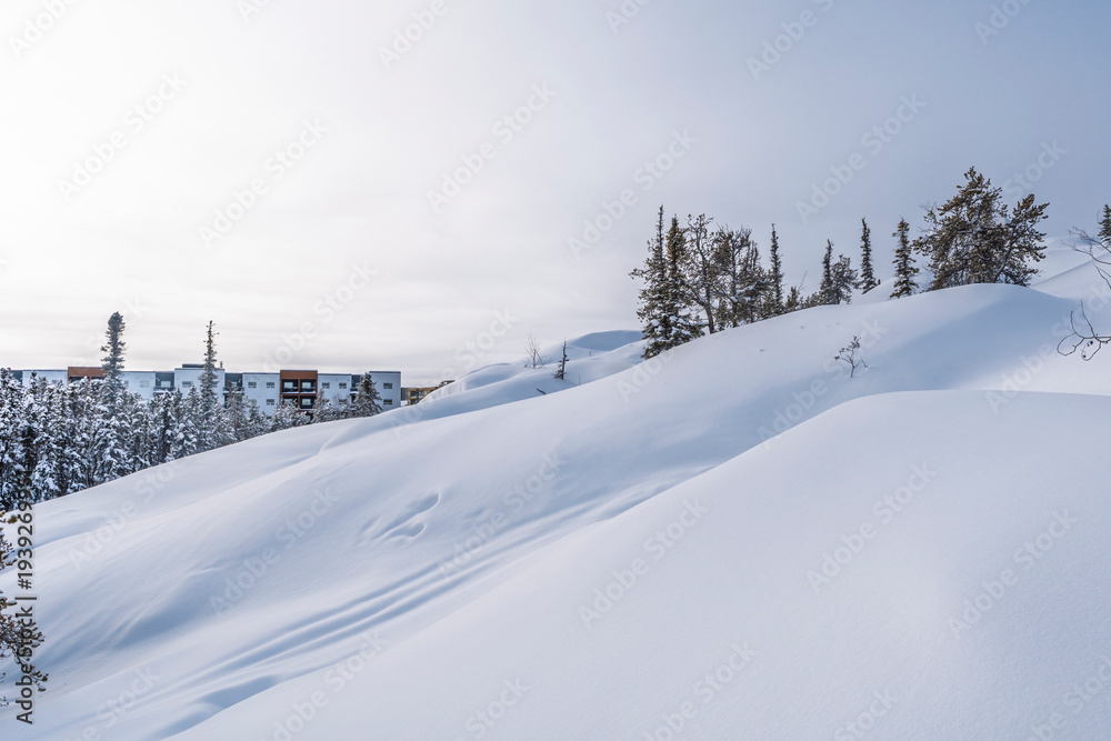 Obraz premium Winter scenery in Yellowknife, Canada