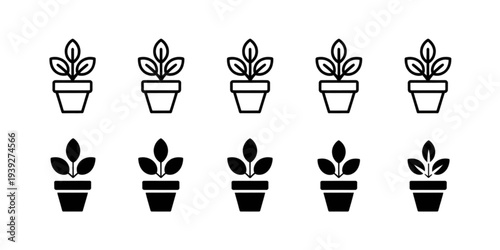 A collection of six potted plants with three of them having flowers and the other three without. Vector