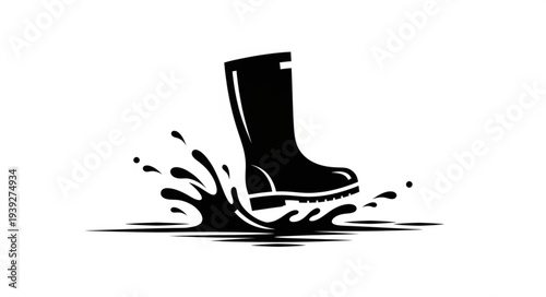 shoe on a white background