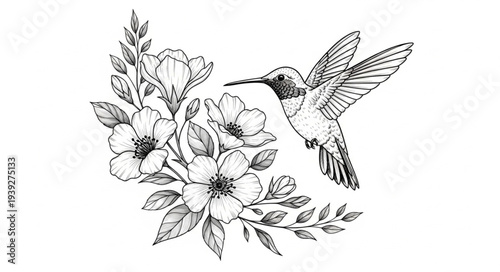 hummingbird and flower