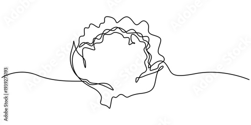 Continuous one line drawing of cauliflower. Vector illustration on isolated background, Continuous one line drawing of whole healthy organic cauliflower for harvesting logo identity. Fresh brassica
