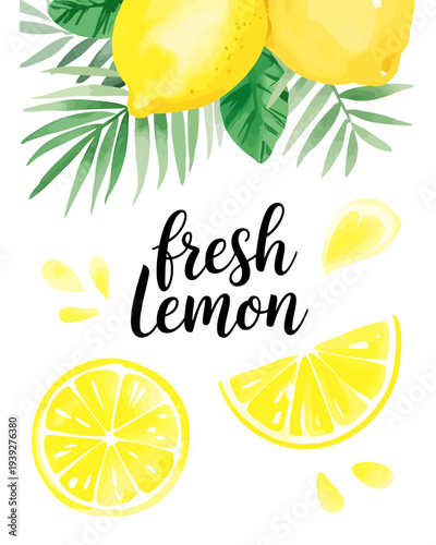 Fresh lemons with green leaves and slices on white background
