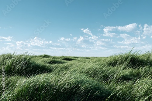 Wallpaper Mural Grassland with tall green grass evokes peace and freedom beneath a clear sky ideal for nature. Torontodigital.ca