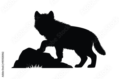 Black silhouette of a wolf cub standing on rocks nature