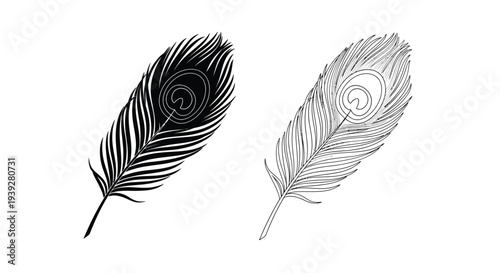 Two peacock feathers displayed one solid one outlined in linear style