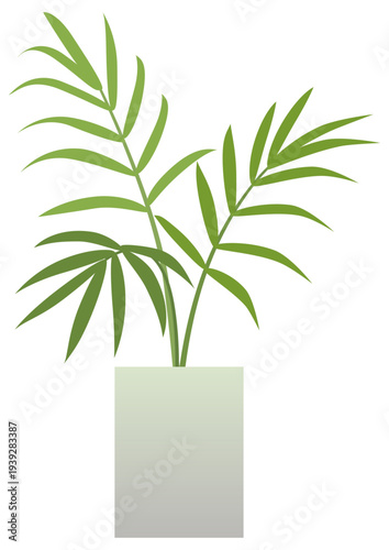 Illustration of a parlor palm planted in a white pot