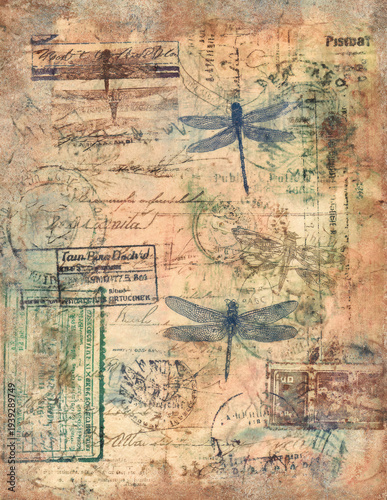 Old parchment paper with dragonfly illustration