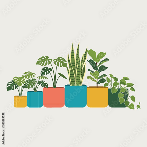 Assortment of Potted Houseplants in Colorful Square Planters