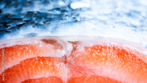 Very close capture of a salmon fillet in brilliant detail. The scales and the bright orange flesh fills the frame in a stunning way. Food inspired content.