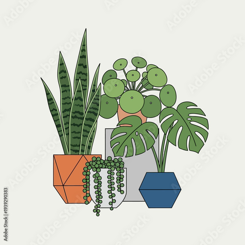 Assortment of popular houseplants in decorative pots on a neutral background