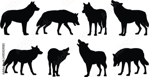 Collection of eight black wolf silhouettes in various poses on a white background animal wildlife