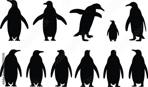 Collection of Penguin Silhouettes in Various Poses on White Background bird animal