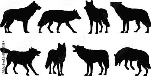Eight Wolf Silhouettes in Different Poses and Actions on a White Background canine animal
