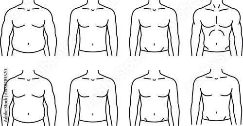 Flat vector illustration of male torso body types, muscular physiques, fitness anatomy, abs definition, chest shapes, health silhouette comparison