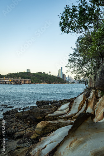 Sydney Harbour View from Berry Island Reserve with City Skyline in Distance