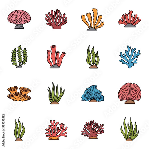 Collection of colorful coral reef icons and illustrations on white background
