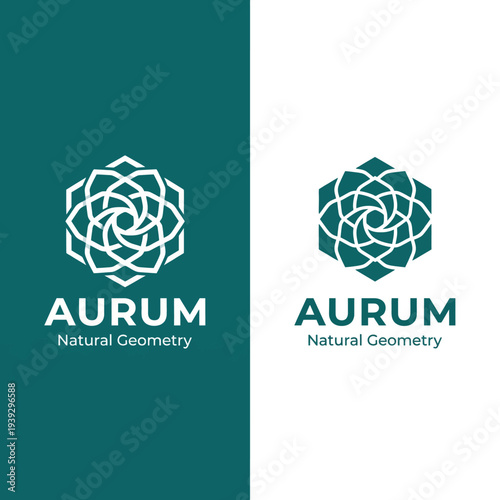 A modern logo design showcasing geometric patterns and elegance, reflecting an identity of sophistication and creativity suitable for a brand focused on natural geometry.