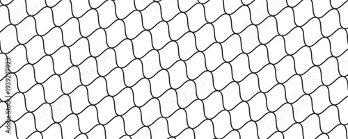 Black snake skin pattern isolated on white background eps 10