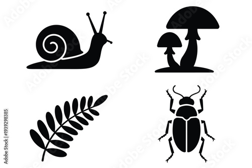 Four black silhouettes of snail, mushrooms, fern, and beetle