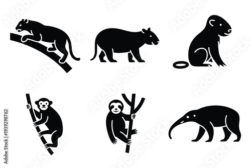 Six black silhouettes of animals and mammals wildlife