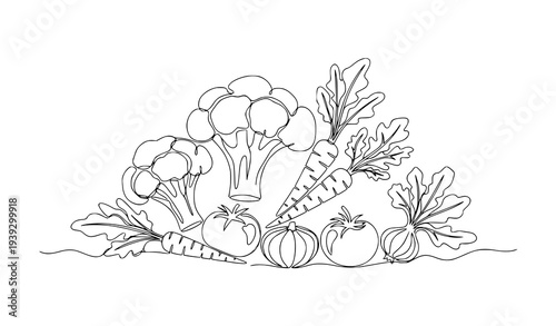 Minimal continuous line vegetables broccoli carrot tomato organic food vector illustration