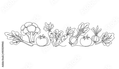Continuous one line vegetable drawing broccoli carrot tomato organic food vector