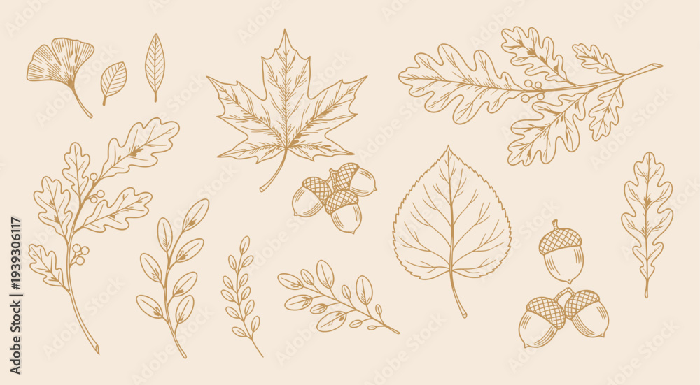 Fototapeta premium Whimsical hand drawn autumn leaves and acorns vector illustration