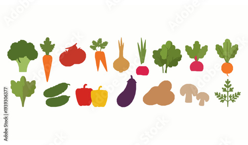 Fresh vegetable set colorful organic farm harvest vegetarian food vector