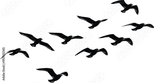 Flock of flying birds silhouettes isolated on white background representing freedom, migration, nature wildlife concept, minimal black bird shapes in flight formation illustration
