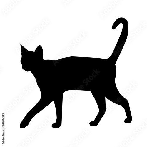 Photography black cat silhouette