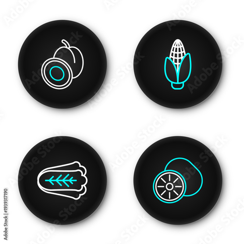 Set line Kiwi fruit, Cabbage, Corn and Plum icon. Vector