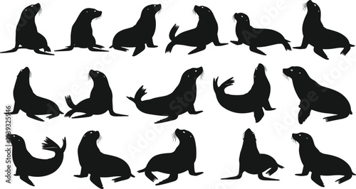 Collection of black sea lion silhouettes in various poses, aquatic seal wildlife icons isolated on white background, marine animal vector.