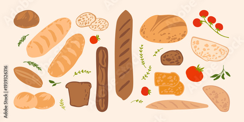 Vector bread product set. Bakery food design.  Wheat, rye and whole grain bread, variety buns, toast bread, baguette.