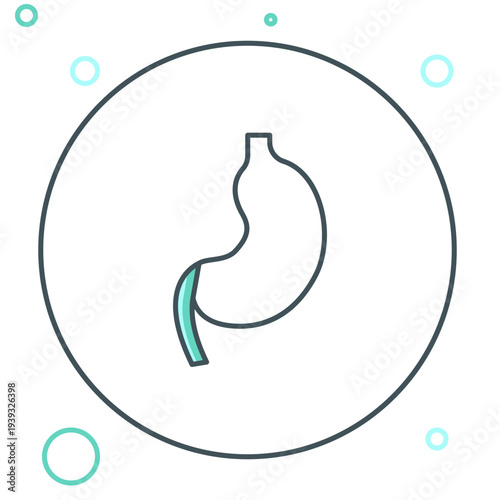 Line Human stomach icon isolated on white background. Colorful outline concept. Vector