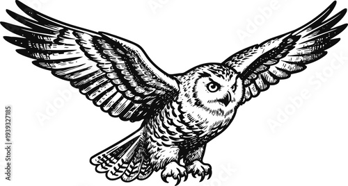 Black and white illustration of an owl in flight with wings spread and sharp talons ready to catch prey