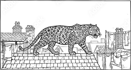 Leopard walking on rooftop in urban setting with chimneys and hanging laundry black and white illustration