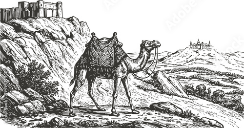 Camel walking through rocky desert landscape near ancient fort on distant hills