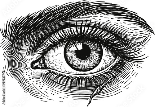 Detailed vintage engraving of human eye with tear drop and expressive lashes in black ink