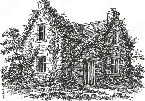 Old stone cottage covered with climbing ivy vines vintage rural house in garden surrounded by bushes and grass