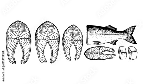 Fresh Salmon Fillet Cuts Sketch Set Hand Drawn Seafood Vector