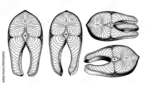 Hand Drawn Salmon Fish Fillet Pieces Sketch Seafood Vector Illustration