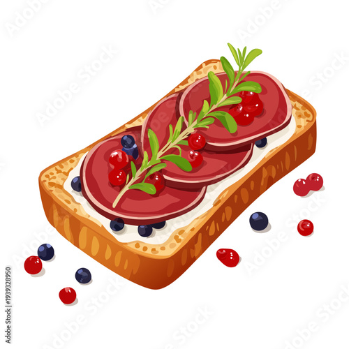 Dark bread toast topped with red berries and herb garnish for healthy fruit snack and creative appetizer - Vector Illustration