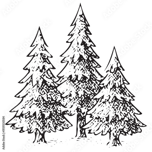 Pine Forest Trees Illustration – Winter Wilderness Nature Landscape Engraved Style