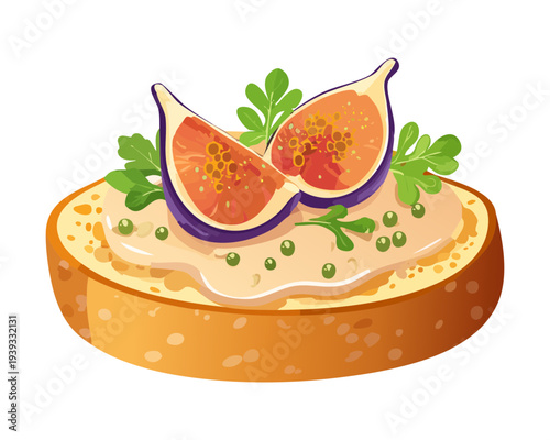 Round toast topped with fig fruit and herb garnish for healthy and refreshing breakfast snack option for any meal - Vector Illustration