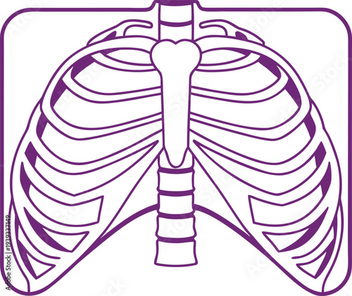 X Ray Medical Examination Concept. X Ray Diagnostic Imaging Concept. Medical X Ray Scan Illustration. X Ray Radiology Examination Concept. Hospital X Ray Imaging Concept. X Ray Diagnostic Healthcare